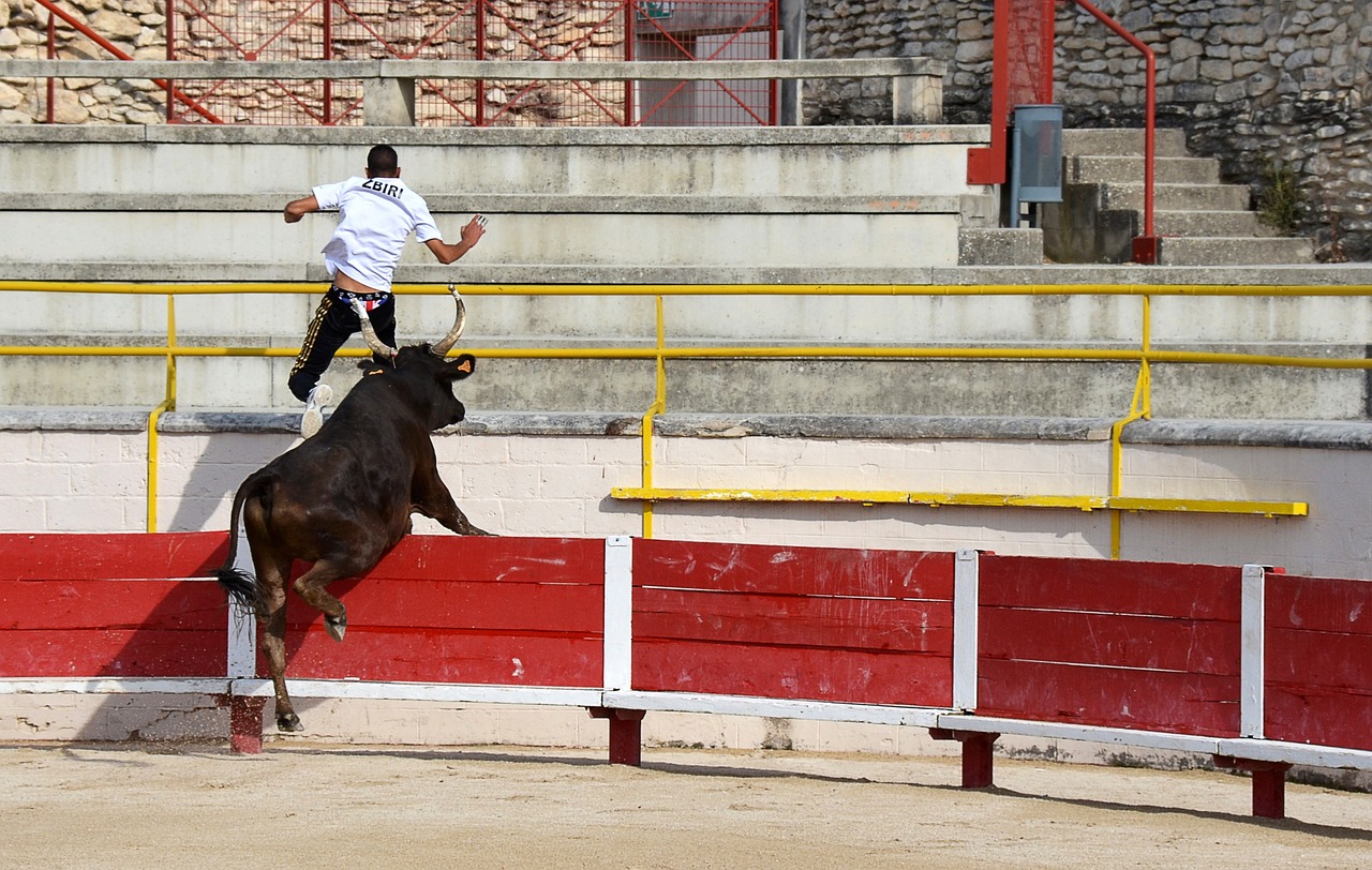 強的對手