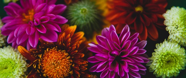 中的关键防 中的关键防