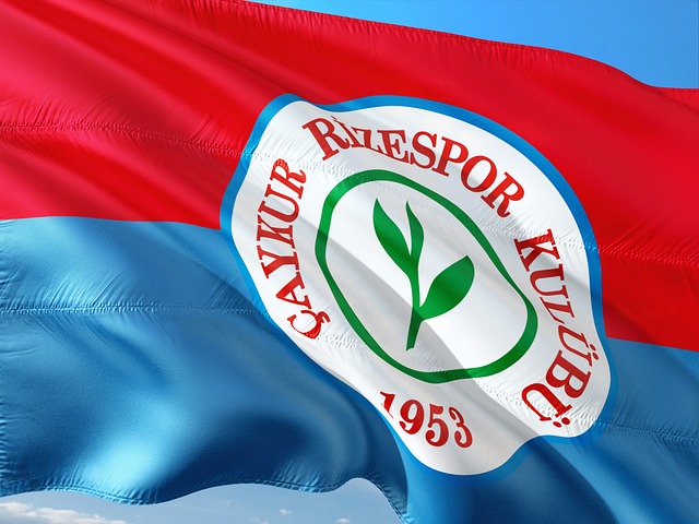 使得比赛失 使得比赛失