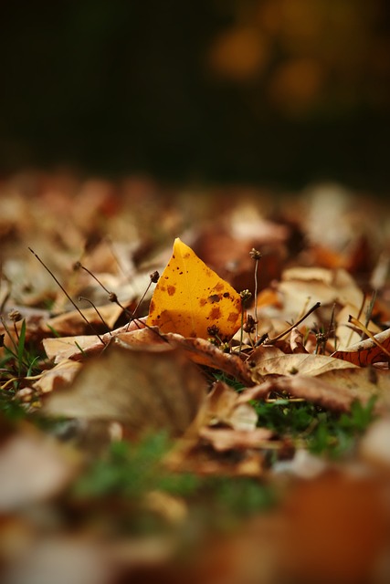 與其他球員 與其他球員