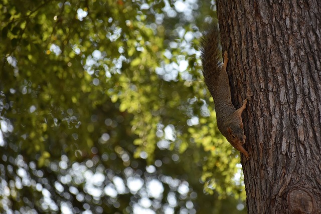 也展示了他 也展示了他