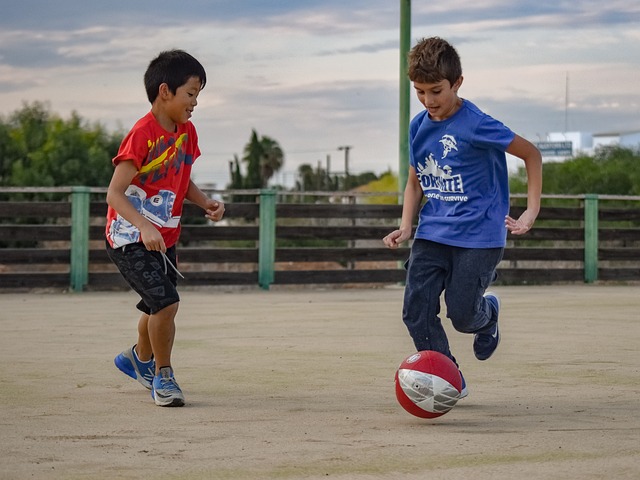 样能在世界 样能在世界